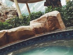 -沈阳龙润夏宫温泉水乐园