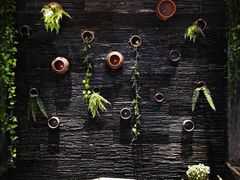 -一只烧鸡公(解放碑店)