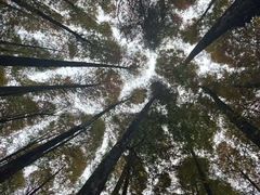 -山王坪喀斯特国家生态公园