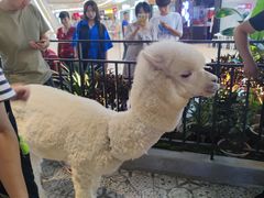 -古茗(抚州硕果5楼店)