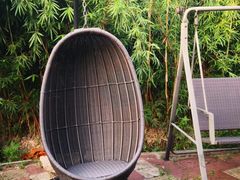 -大湾区中央湿地公园