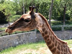 -石家庄市动物园