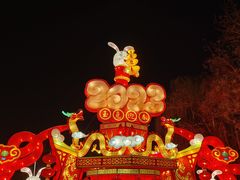 -北京石景山游乐园