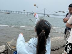 -星海广场