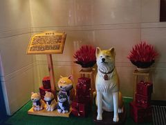 -大江户·温泉洗浴(浑南店)