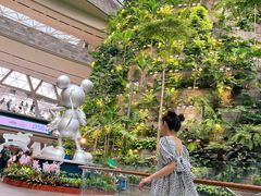 -樟宜机场免税店