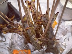 -虾佬圣汤