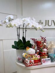 -JUVA欧华医美连锁