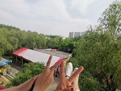 -朝阳公园游乐园