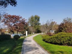 -昆山城市生态森林公园