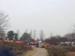 -秀丽东方
