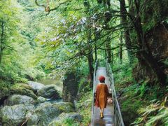 -龙苍沟森林公园