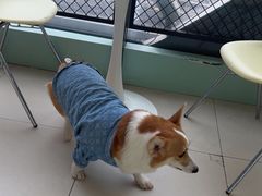 -怪兽屋·羊驼·猫咖·狗咖(俊华广场店)