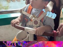 -无锡动物园·太湖欢乐园