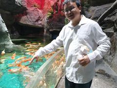 -多彩贵州城极地海洋世界