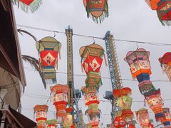 -锦江乐园舞狸花花游园会(夜场专享)