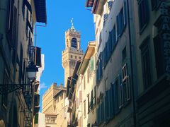 -圣母百花大教堂穹顶