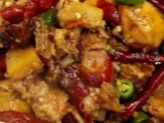 -巴依老爷新疆美食(望京小街店)