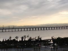 -宝安西湾红树林湿地公园