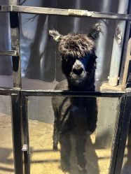 -酷嗒动物文化乐园(cutezoo西溪乐天城店)