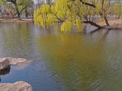 -万泉公园