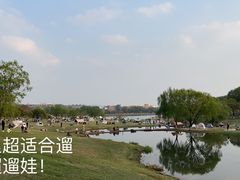 -紫金山山顶公园