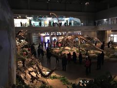 -自贡恐龙博物馆