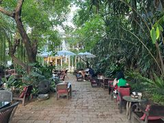 -Fern Forest Cafe