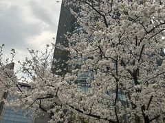 -上海世纪汇广场