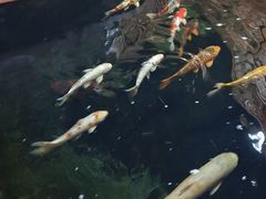 -侠成水上农庄(工业大道店)