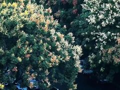 -秦岭终南山世界地质公园翠华山景区
