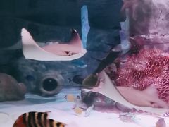 -沈阳海洋探索中心