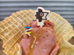 -iceason爱茜茜里·意大利健康冰淇淋(骑龙巷店)
