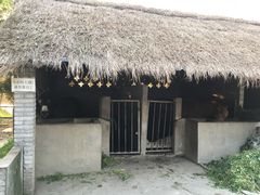 -金稼园·金平湖农家菜