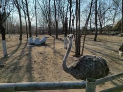 -大连森林动物园