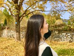 -千年银杏谷文化旅游区