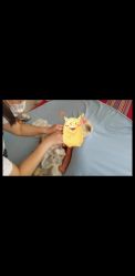 点击看大图 -亲吻宝贝儿童摄影