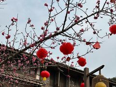 -黄龙溪古镇