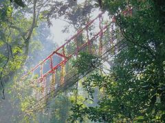 -西双版纳原始森林公园