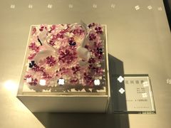 -BLACKSWAN黑天鹅(环球店)