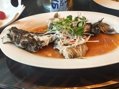 -新天世纪中餐厅