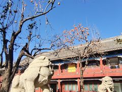 -北京石刻艺术博物馆(五塔寺)