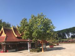 -西双版纳勐泐文化旅游区