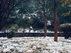 -玉苍山国家森林公园