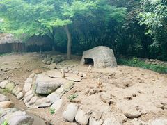-上海野生动物园