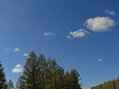 -塞罕坝国家级自然保护区