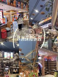 -卡通尼·Safari非洲探索乐园·生日会(金桥国际商业广场店)