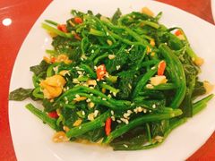 八宝菠菜-大眼锅贴水饺(河东店)