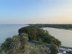 -大湾区中央湿地公园