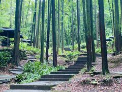-凤栖山